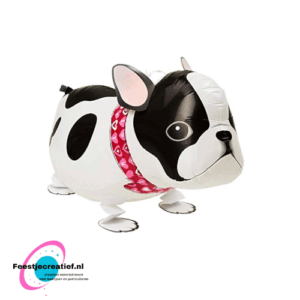 Wandelende ballon/airwalker bulldog, 60x40cm