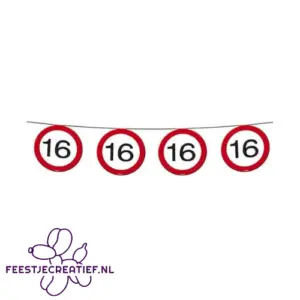 Slinger verkeersbord 16 jaar, 12 meter
