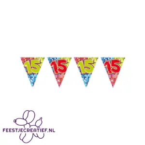 Vlaggenlijn/slinger mini 15 jaar, 3 meter