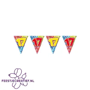 Vlaggenlijn/slinger mini 17 jaar, 3 meter