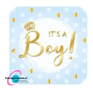 Deurbord/huldeschild "It's a boy!"