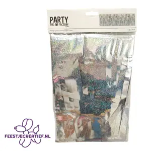 Slinger franje holografisch zilver - 6 meter