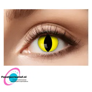 Contactlens 1 week Lenzen week kat