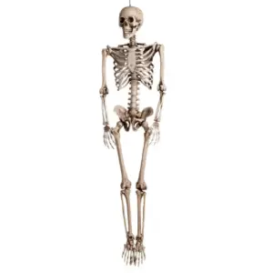 Skelet Halloween