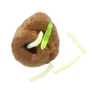 Cool squishy drol met maden