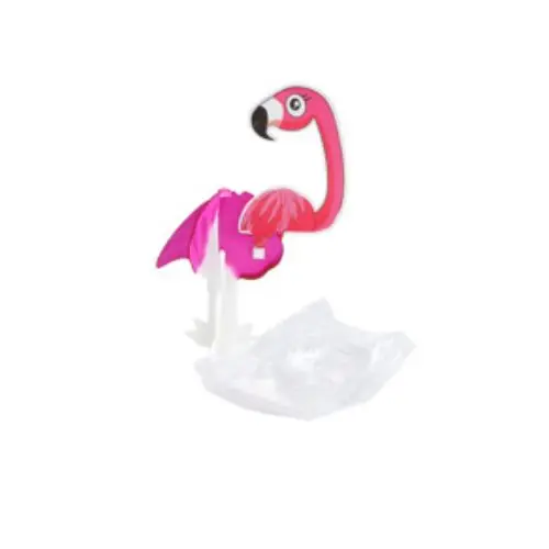 Groei ei vogel paradijs 8,5 cm 3 Groei ei vogel paradijs 8,5 cm - Afbeelding 3