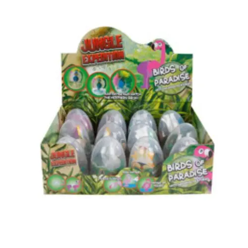 Groei ei vogel paradijs 8,5 cm 2 Groei ei vogel paradijs 8,5 cm - Afbeelding 2