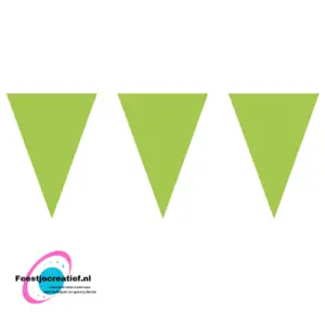 Verkleed accessoires 158 vlaggen-banner (4.5m) groen
