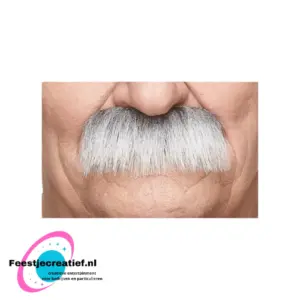 Plaksnor opa's snor grijs/wit