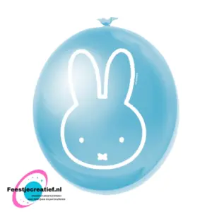 Ballonnen nijntje blauw