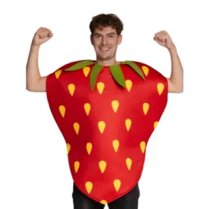 Aardbei kostuum – One Size