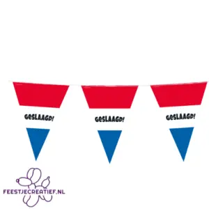 Vlaggenlijn Geslaagd rood-wit-blauw