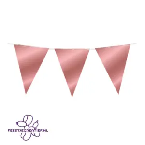 Vlaggenlijnen 179 Folie vlaggenlijn rose gold - 10 meter