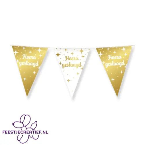 Fancy party flags foil - Geslaagd 1 Fancy party flags foil - Geslaagd